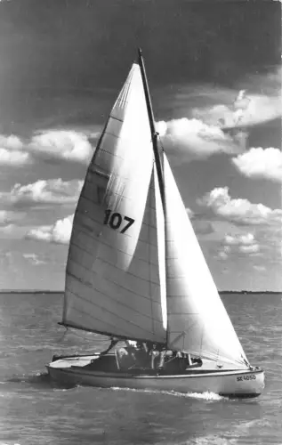 B40203 Balaton Ungarn