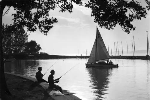 B40271 Balaton Ungarn