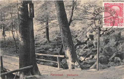 B64932 Marienbad Waldpartie tschechisch