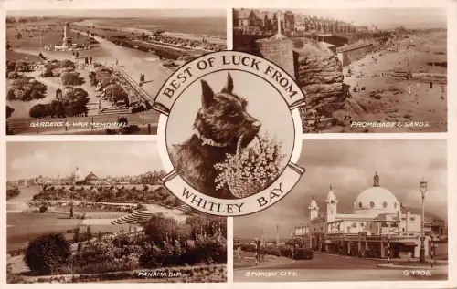 BR62914 viel Glück von Whitley Bay Dog UK