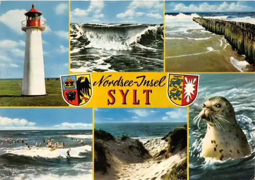 BG9837 Tarif Leuchtturm Robbe Nordsee Insel Sylt Germany