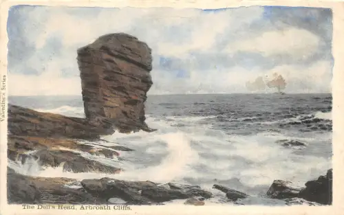 auk41321 deils head arbroath cliffs scotland uk