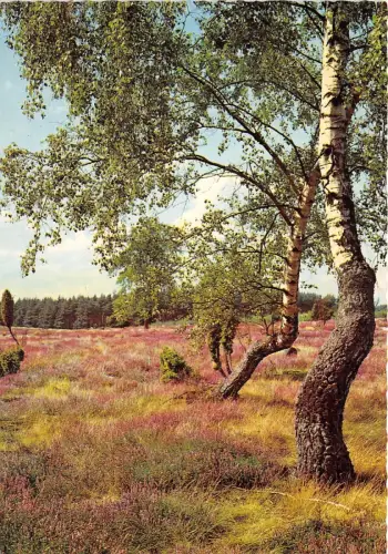 BG9941 Zoecke Glanz Landschaft Deutschland