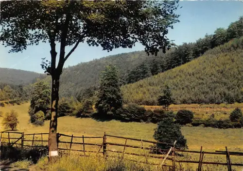 BG13213 neuhaus solling holzmindetal waldcafe pension hotel rubezahl germany