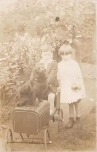 uk50945 Kinder und Hund Echtfoto UK Kinderwagen Sozialgeschichte