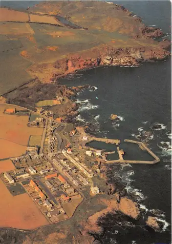 uk50156 st abbs harbour scotland uk