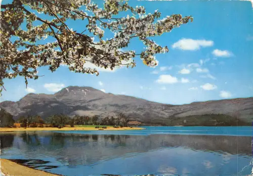 uk43867 springtime on loch lomond dunbarton scotland uk