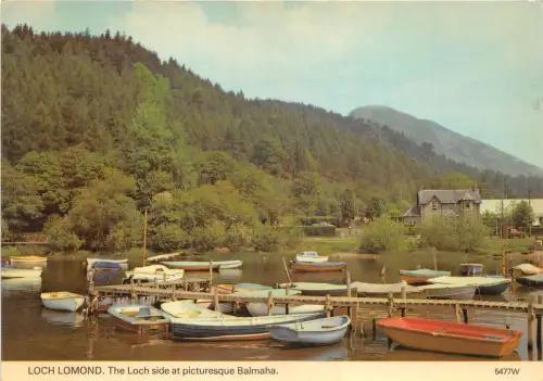 uk47902 loch lomond loch side at picturic balmaha scotland uk