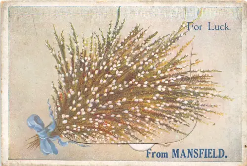 br108243 for luck mansfield uk neuheit leporello