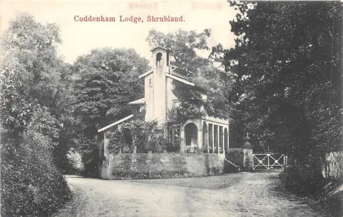 br108957 coddenham lodge shrubland uk