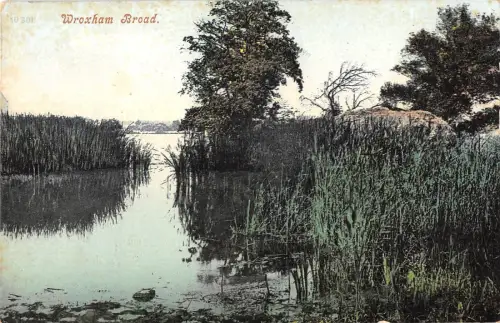 BR97394 wroxham broad uk