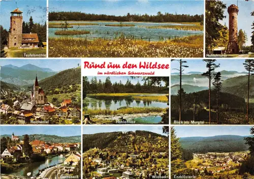 BG11191 rund um den wildsee in nordischen schwarzwald hohohsee wildbad germany