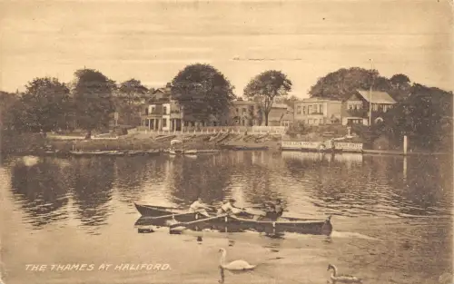 BR64830 the thames at haliford uk