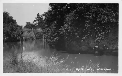 B93199 weybridge river wey echtfoto uk