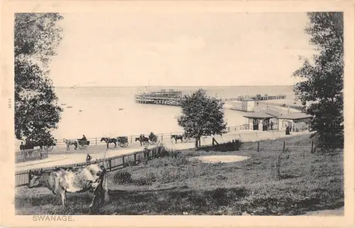 BR81559 Swanage Cow Vachs UK