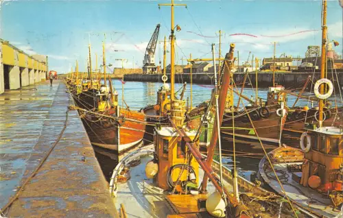 uk19814 the harbour ayr scotland real photo uk