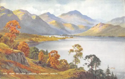 uk524 the head of loch lomond scotland uk