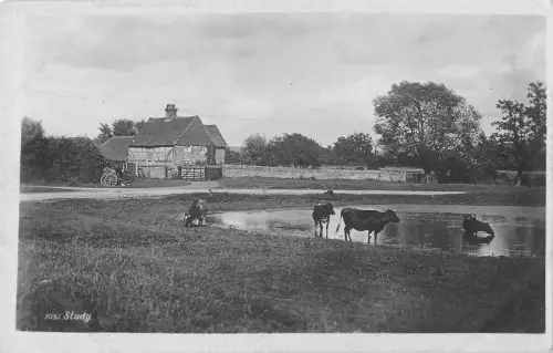 uk2800 tunbridge wells bull real photo uk