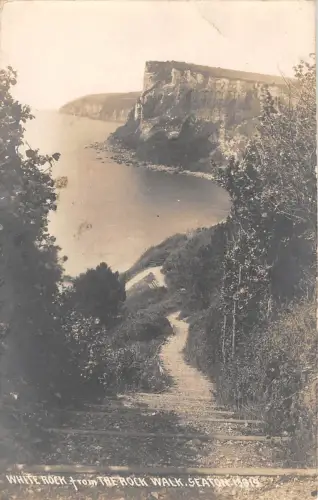 BR81713 white rock from the rock walk seaton real photo uk