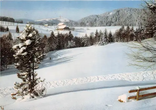 BG10516 HINTERZARTEN OBERZARTEN BLICK ZUM FELDBERG GERMANY
