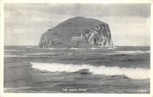uk51118 bass rock schottland echtfoto uk