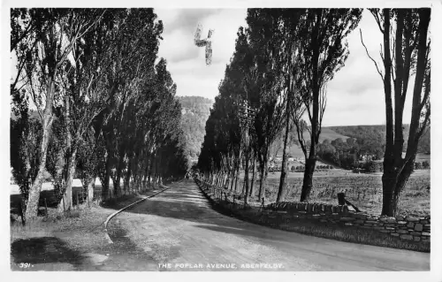 uk16101 poplar avenue aberfeldy scotland real photo uk