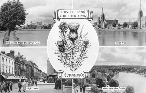 BR78914 Inverness Distel bringt Glück Schottland