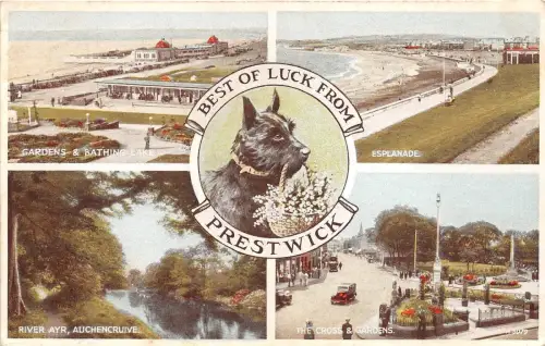 BR60178 Hund viel Glück aus Prestwick Schottland