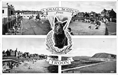 uk16192 small scotch troon scotland real photo uk dog