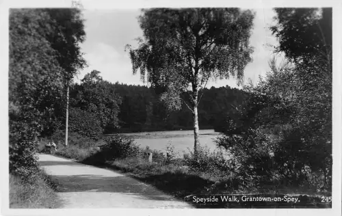 uk11688 speyside walk grantown on spey scotland real photo uk