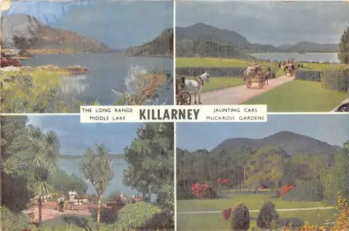 uk51781 killarney kerry ireland