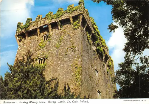 uk51797 zinnen blarney stone blarney castle cork irland