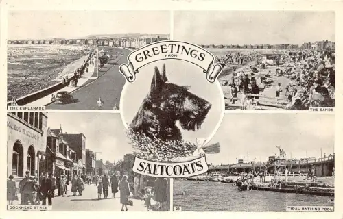 BR59364 Salzmäntel Hund Schiff Bateaux Schottland