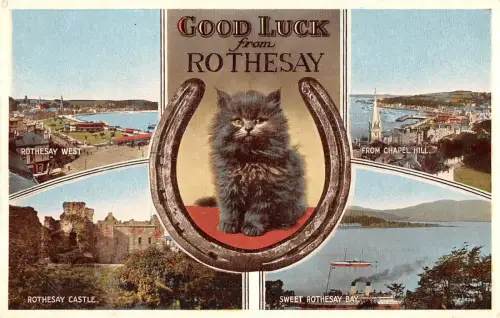 BR99783 Rothesay Castle Bay Cat Schottland
