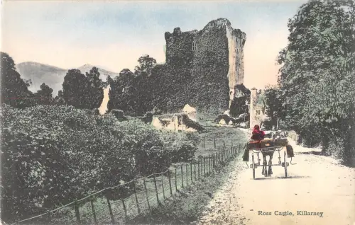 BR101633 Ross Castle Killarney Wagen Irland