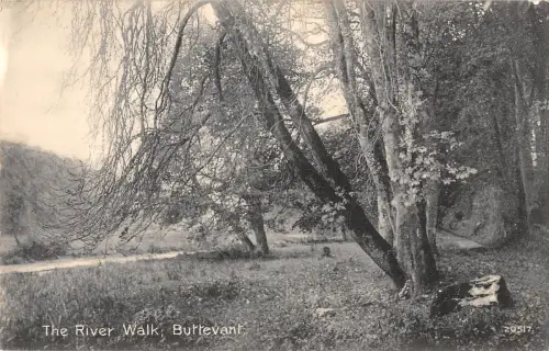 uk32164 river walk buttevant ireland