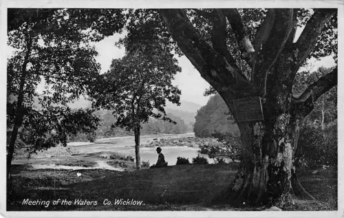 BR70440 Treffen der Gewässer Wicklow Irland