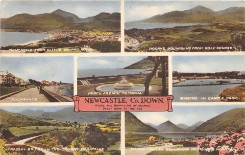 Lot317 Newcastle Co Down Percy French Memorial Boating Northern Ireland