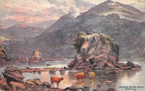 BR62723 Colleen Bawn Rock Killarney Cow Vaches Postkarte Irland