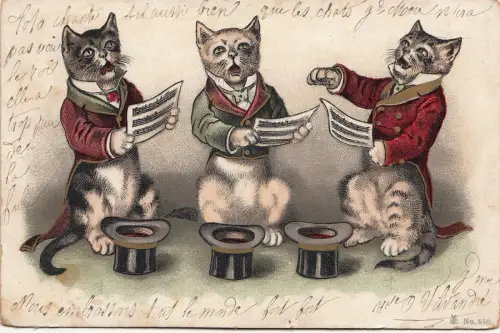 B81341 menschliche Haltung singende Katze Chat Vorder-/Rückseite Bild