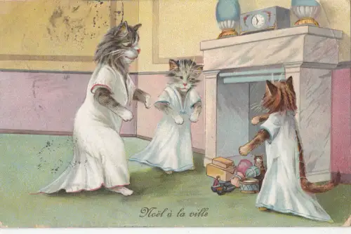 B80572 Menschliche Haltung Gehend Bekleidet Katzen Katze Vorder-/Rückseite Bild