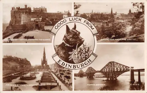 uk28606 good luck from edinburgh scotland real photo uk dog