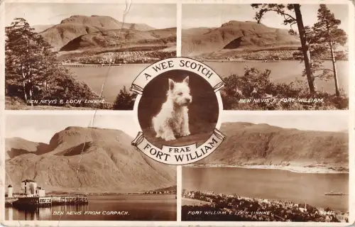 uk12790 a wee scotch rae from fort william scotland real photo uk