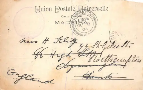 Lot143 Madeira Portugal Funkboot