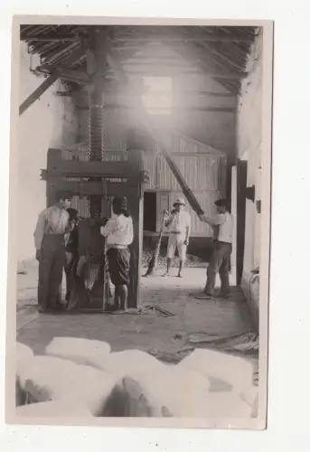 B77303 Echtfoto Bolivien Scan Vorder-/Rückbild