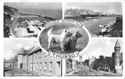 BR78913 Double Scotch aus Thurso Hund Schottland