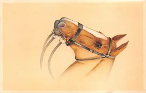 us7402 Pferd Künstler signiert Kopf Tier Cheveau Belgien