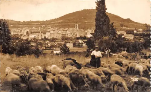 BR10004 Manosque Generale Sheep Mouton Frankreich