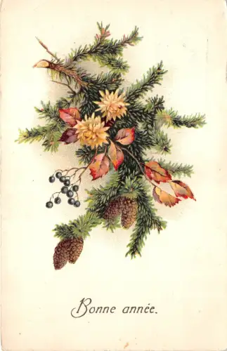 BG14819 Bonne Annee Neujahr Tannenzweig Frankreich