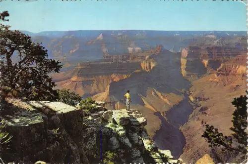 Lot252 grand canyon national park arizona at pima point usa